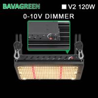 Panneau 120W SAMSUNG 312Umol/S de RoHS ccc LM301B Quantum