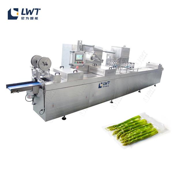Linha de embalagem de sacos de frutas e vegetais