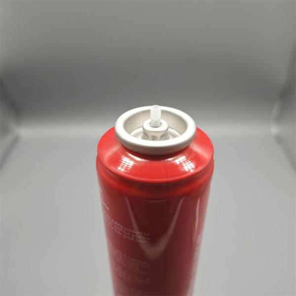 Premium Aerosol Hair Mousse Dispenser for Natural Looks - Gentle Styling Option for Everyday Use