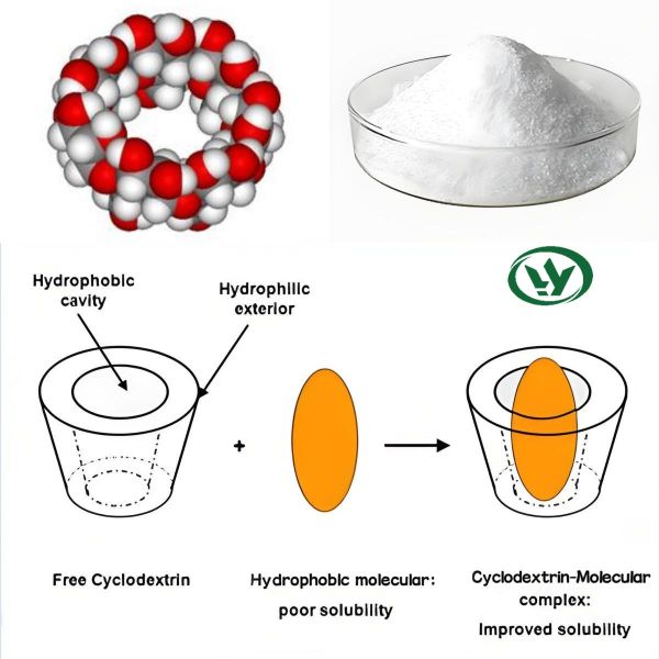 Versatile Encapsulation Agent Hydroxypropyl Beta Cyclodextrin HPBCD for Food Emulsification & Preservation