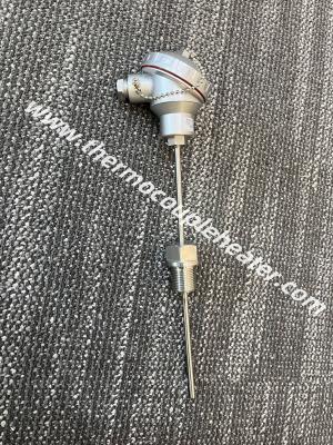 RTD Sensor Duplex PT100 Double Elements 6-wire Mineral Insulated Probe