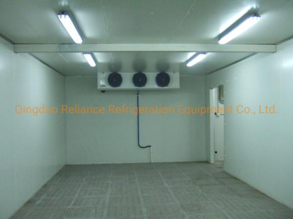 COLDROOM19 Industrial congelador a frio armazenamento com painel solar energia em pó e bateria