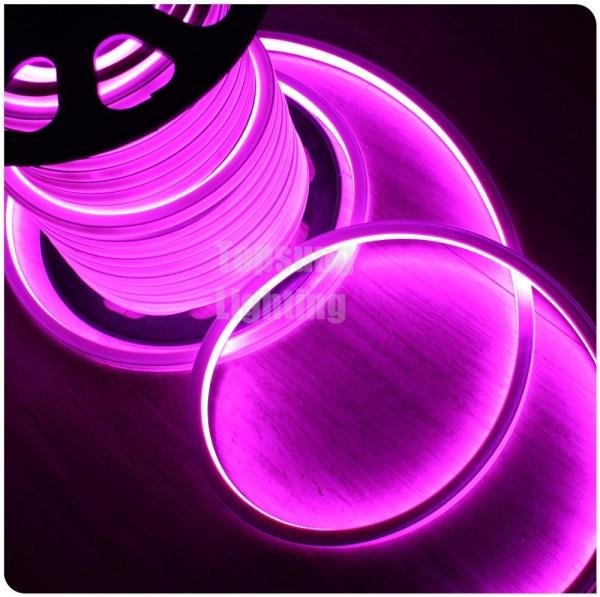 Iluminação LED de 230 V, quadrada, rosa, de 16*16 m, com faixa de néon para jardim