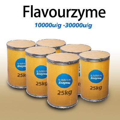 Enzyme Flavourzyme 30000u/g Protéase Fabricants Activité Enzymatique Personnalisée