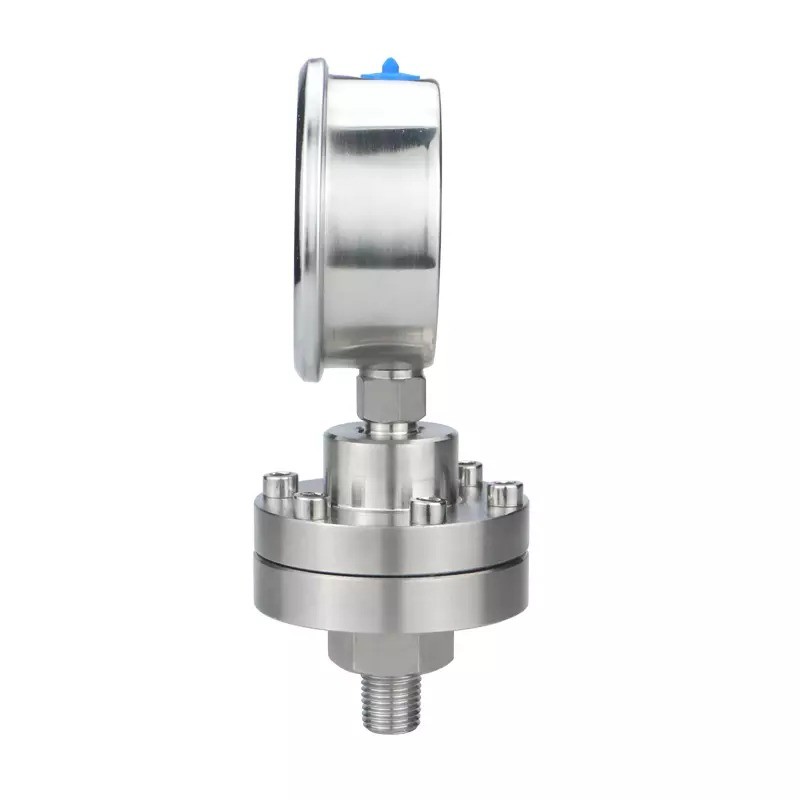 Zhejiang Made 2.5 Precision 60mm Stainless Steel Diaphragm Pressure Gauges with Long