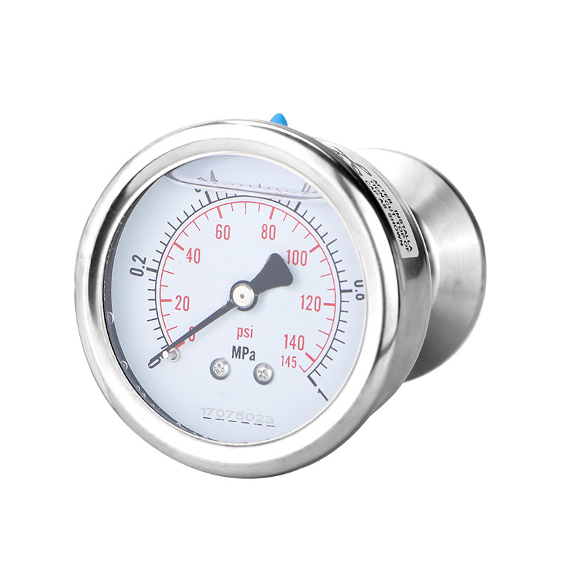 Complete Stainless Steel Pressure Gauge for Oil and Gas Shockproof Zhejiang Production