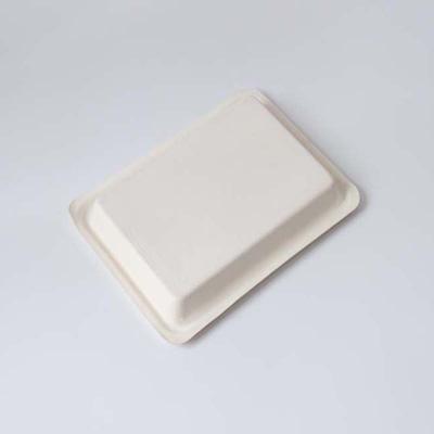 Corrugated Paper Biodegradable Pulp Molded Wine Packaging Trays