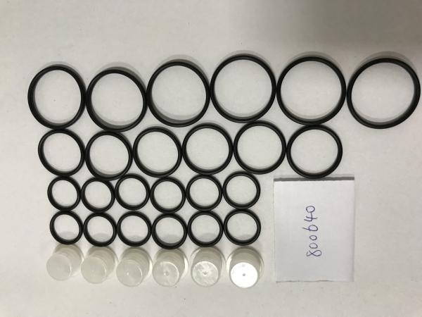 Auto Parts Fuel Injection Pump Repair Kit 800640 Common Rail