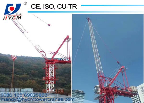 50m Tower Crane Boom Length 380V/60Hz Power Supply Luffing Jib Crane with Free Catalogs