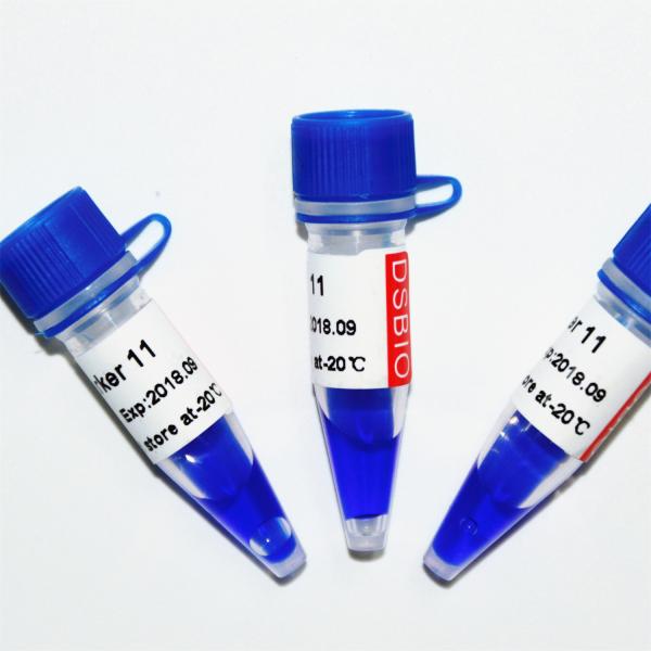 Marker 11 DNA ladder M1131 (50μg)/M1132 (5×50μg)