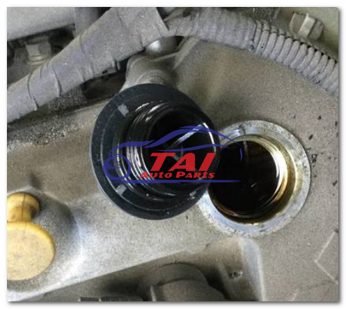 Original 3B20T Mitsubishi Canter Engine Used Engine With High Performance