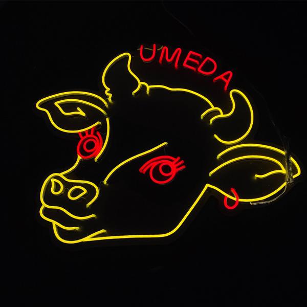 Les hommes faits sur commande d'enseigne au néon foudroient le deco d'éclairage de mur de dortoir de chambre à coucher