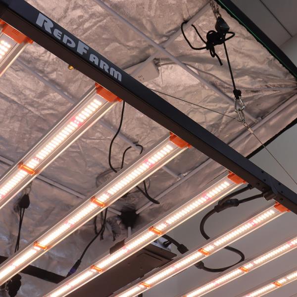 O espectro completo 1500W cresce claro com o diodo emissor de luz de Samsung Lm301h Osram