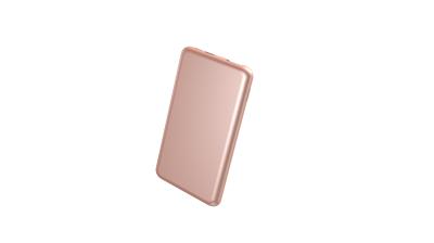 Unique USB C fast charging Type-C 4000mAh power bank Gold color