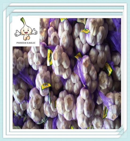 Perfect Quality Chinese Fresh Natrual Garlic New Corp Grade a Wholesale China Garlic