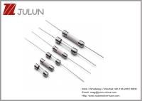 Taille en céramique du fusible 6X30 de la communication 30A 250V pour des réfrigérateurs