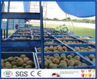 Installation de transformation fraîche de jus d'ananas/mangue avec la machine de conditionnement de boîte
