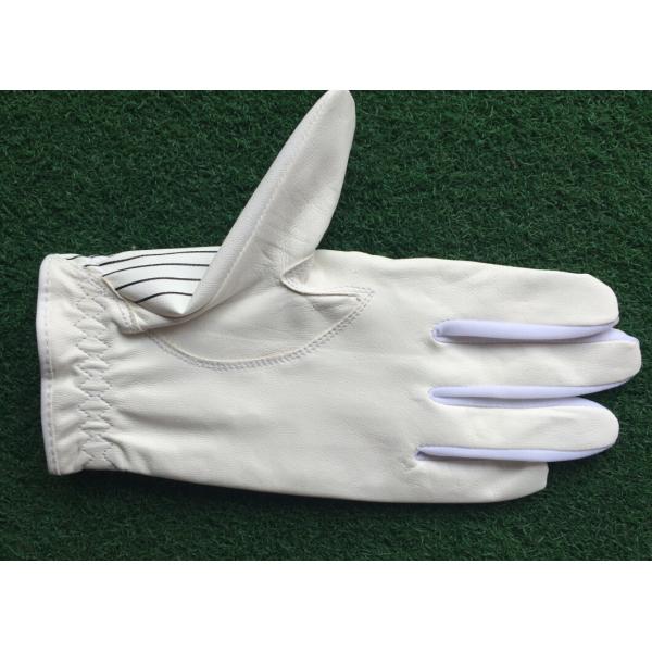 golf glove , golf gloves