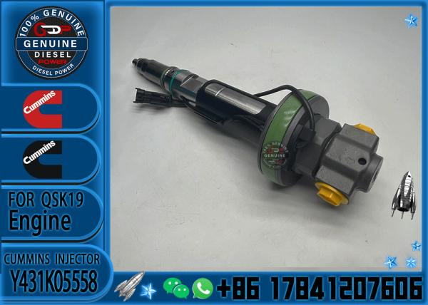 Car Engine Systems Assembly Fuel Diesel Injector Y431K05558 Y431K05417 4964170 4964171 2867149 For Cummins QSK19 Diesel