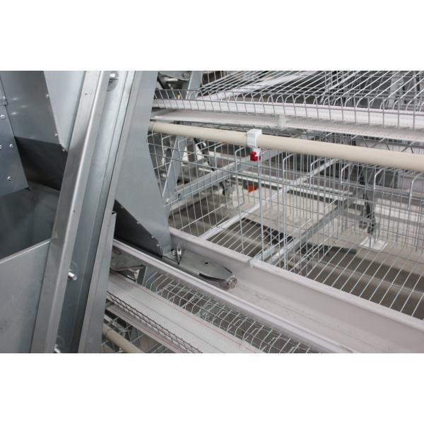 Full Automatic Laying Chicken Cages Egg Layer Cage For Africa Poultry Hens Farms