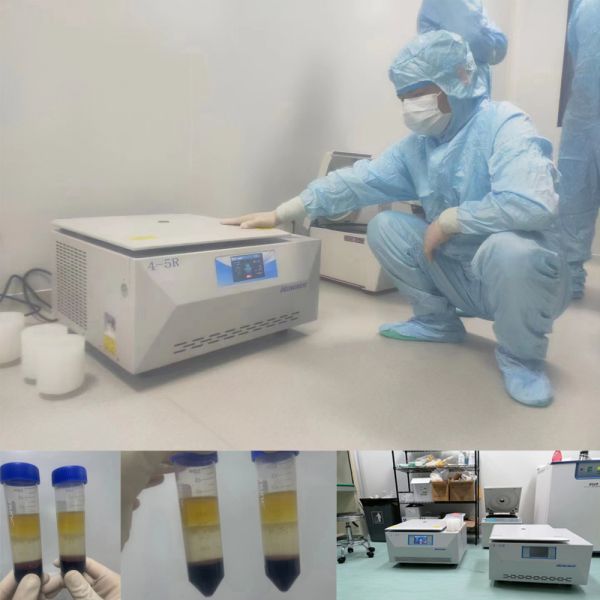 6000rpm Refrigerated Table Top Centrifuge 4x750ml Capacity Laboratory Centrifuge 99 Presets Touch Screen