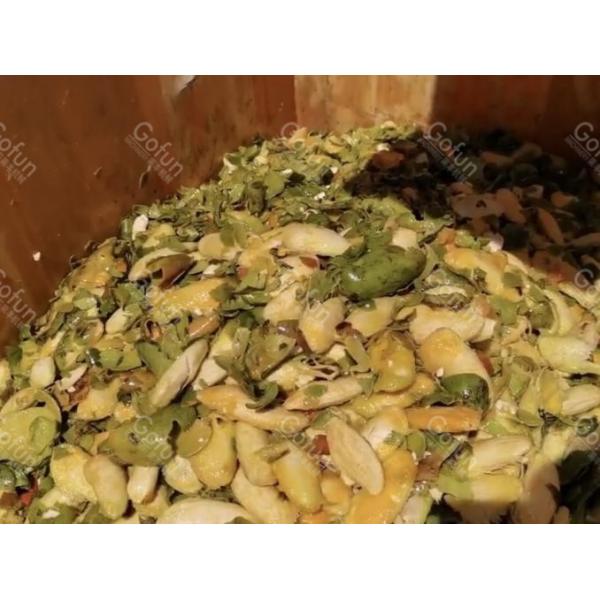 Multi-Product Mango Processing Line – Puree, Juice, and Dried Fruit from One Integrated System