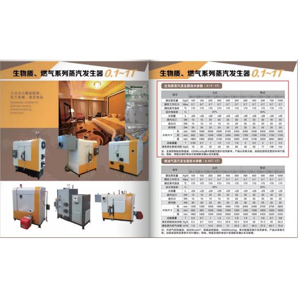 Biomass Wood Pellet Steam Boiler For Pharmaceutical Industry Color Customized