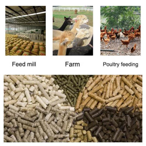 завод лепешки питания поголовья фермы создателя лепешки корма для животных 250-500kg/H