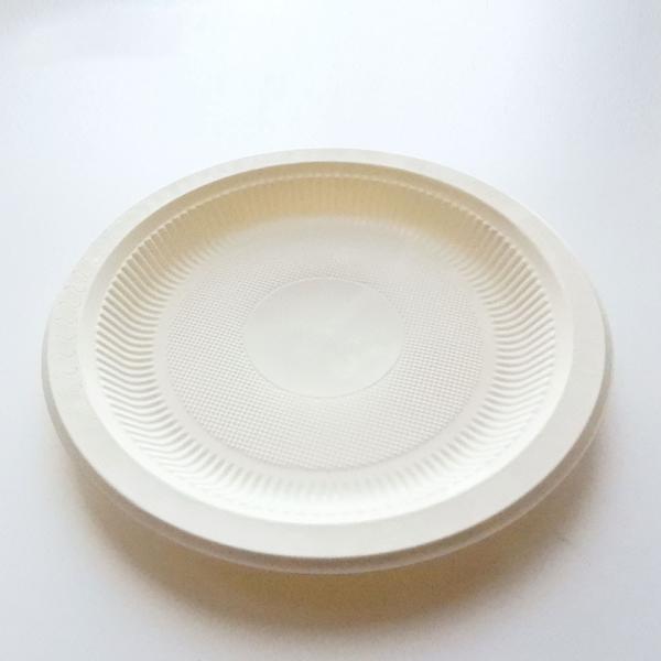 Audit ISO 9001 Certified Disposable Plates and Cutlery for Sustainable Celebrations