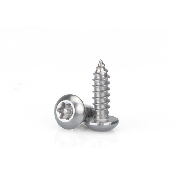 Stainless Steel Pin In Torx Drive Pan Head Self Tapping Screws Tamper-Resistant Torx Rounded Head Screws