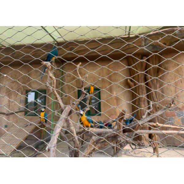 Supplier Of Aviary Mesh Durable Ferrule mesh For Large Bird Enclosure