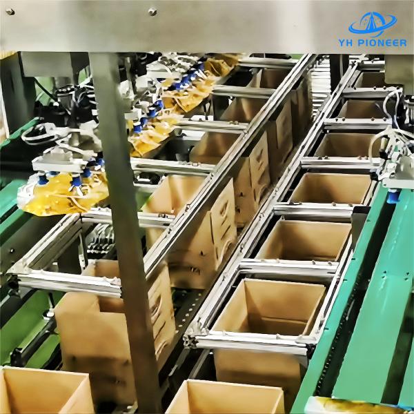 Máquina de embalagem de sacos personalizados, embalagem de caixas de aço inoxidável 5.5KW