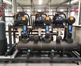 Full Automatic Customized Food Grade Vacuum Lyophilizer with 5 Years Warranty Freeze Dry Machine