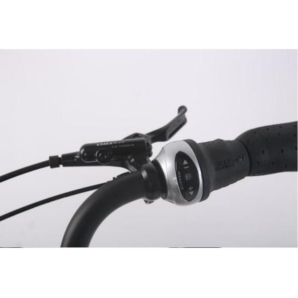 Lithium Battery 26 Inch City Electric Bicycle / E - bike With Rear Motor For Adults