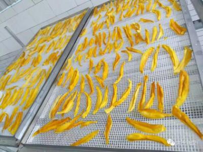 High Tech Industrial Mango Slices Dryer Vibration Type Dewatering Machine