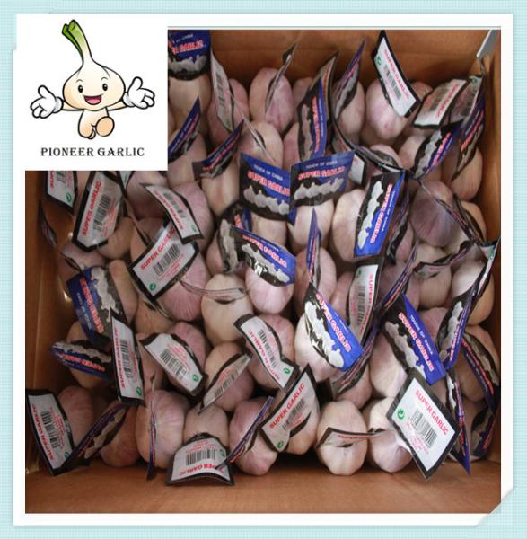 China New Fresh White Garlic- Variety High Quality Fresh Garlic White Garlic