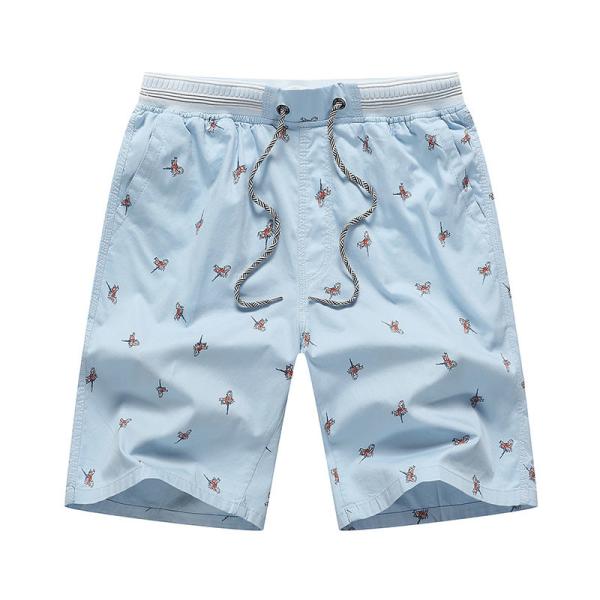 Summer men's beach pants sporty casual shorts