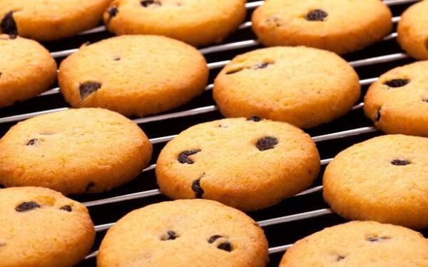 Cookie Forming Machine PD400 PLC Control Mini Cookie Machine Capacity 100Kg/H / 200Kg/H
