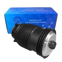 Les ressorts de suspension à gaz pour Mercedes W213 2133280100 2133280200