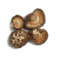O Shiitake secado desidratado cresce rapidamente tampão de 4-5CM para o restaurante
