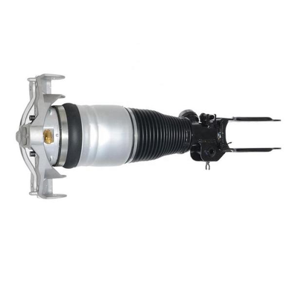 Cayenne 955 95534303445 Shock Absorber Strut