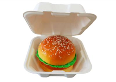 bio empacotamento de alimento 20g, recipiente de alimento do bagaço, bio recipiente afastado