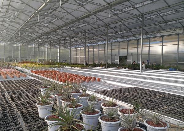 Corrosion-Resistant Waterproof Polycarbonate Sheet Geenhouse With Automatic Ventilation System, Ideal For Vegetable Growing