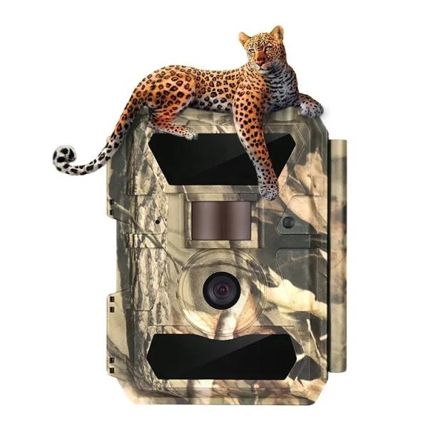 Hunting Trail Camera Smart Camera And Apps And Message Wildlife Trail Camera