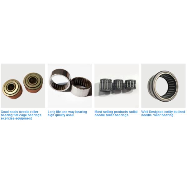 Transporte excéntrico total no sellado radial de los rodamientos de rodillos de aguja