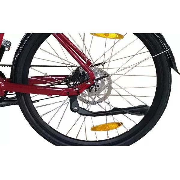 Electric Bicycle for Adults Fast Speed Customized Design and 1-3 Hours Charging Time
