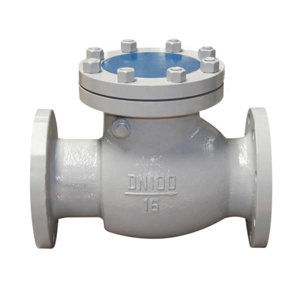 Flange End Swing Automotive Check Valve