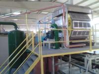 Machine de fabrication de plateaux recyclés, machine de moulage de plateaux d' œufs