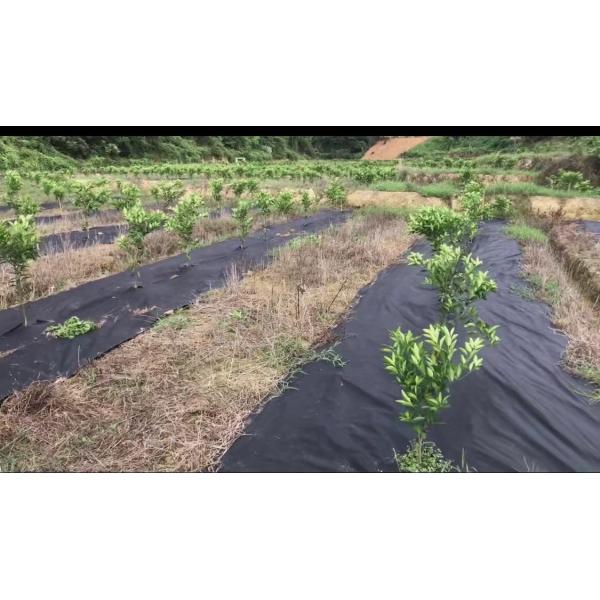 Ткань ПП управлением засорителя ландшафта не сплетенная материальная для домашних садов свободно садовничая