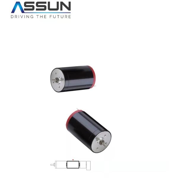DC Coreless Brush Metal Motor6V12V24V36V48V Coreless DC Brush Motor L42mm D22mm